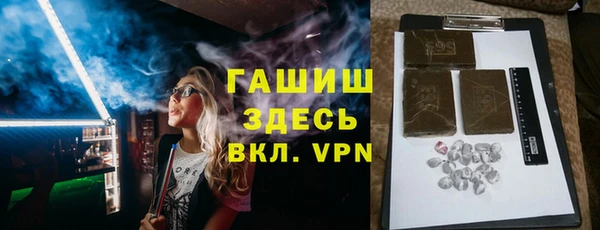 эйфоретик Няндома