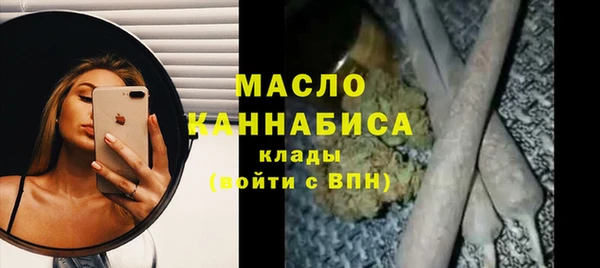 эйфоретик Няндома