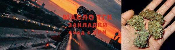 эйфоретик Няндома