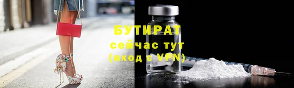 эйфоретик Няндома