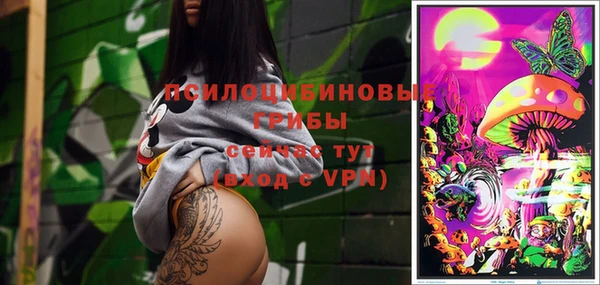 сатива Вуктыл