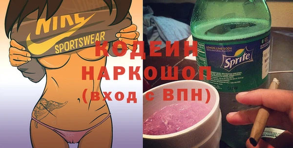 эйфоретик Няндома