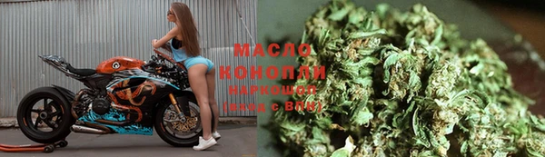 эйфоретик Няндома