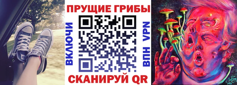 Псилоцибиновые грибы прущие грибы  Полярные Зори 